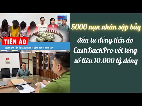 5000 nạn nhân sập bẫy đầu tư đồng tiền ảo CashBackPro với tổng số tiền 10.000 tỷ đồng