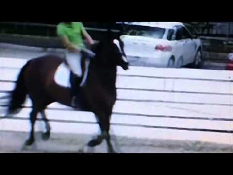 Children's Adult Jumper