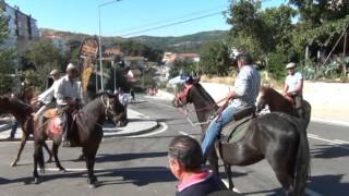 preview picture of video 'COLHEITAS 2013 CAVALOS'