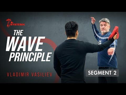 The Wave Principle (Segment 2)