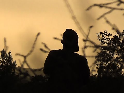 Video thumbnail for Vrai Crack