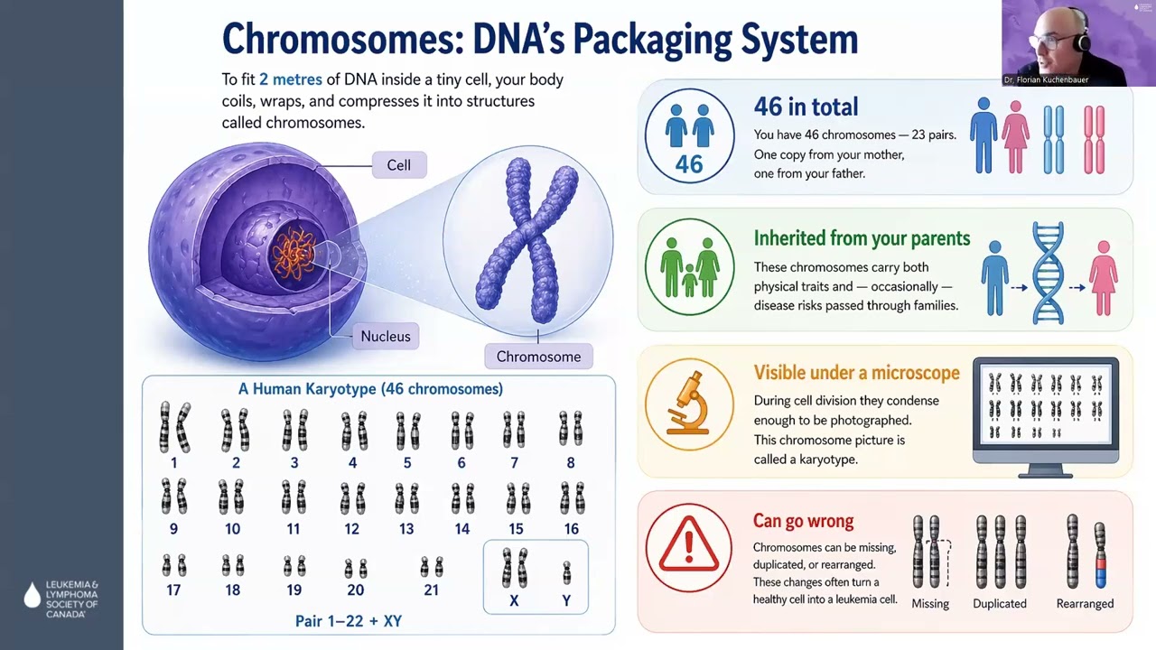 What We Know (and Still Don’t Know) About Genes and Blood Cancer