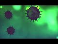 Karona Virus