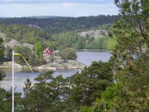 På kryss med Bravo - Anders Leissner