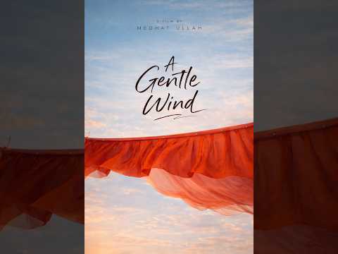 A Gentle Wind