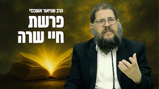 סיפורו של אליעזר עבד אברהם - הרב שניאור אשכנזי בסיפורים ומדרשים על פרשת חיי שרה (פ"ג) (הרב שניאור אשכנזי) - התמונה מוצגת ישירות מתוך אתר האינטרנט יוטיוב. זכויות היוצרים בתמונה שייכות ליוצרה. קישור קרדיט למקור התוכן נמצא בתוך דף הסרטון