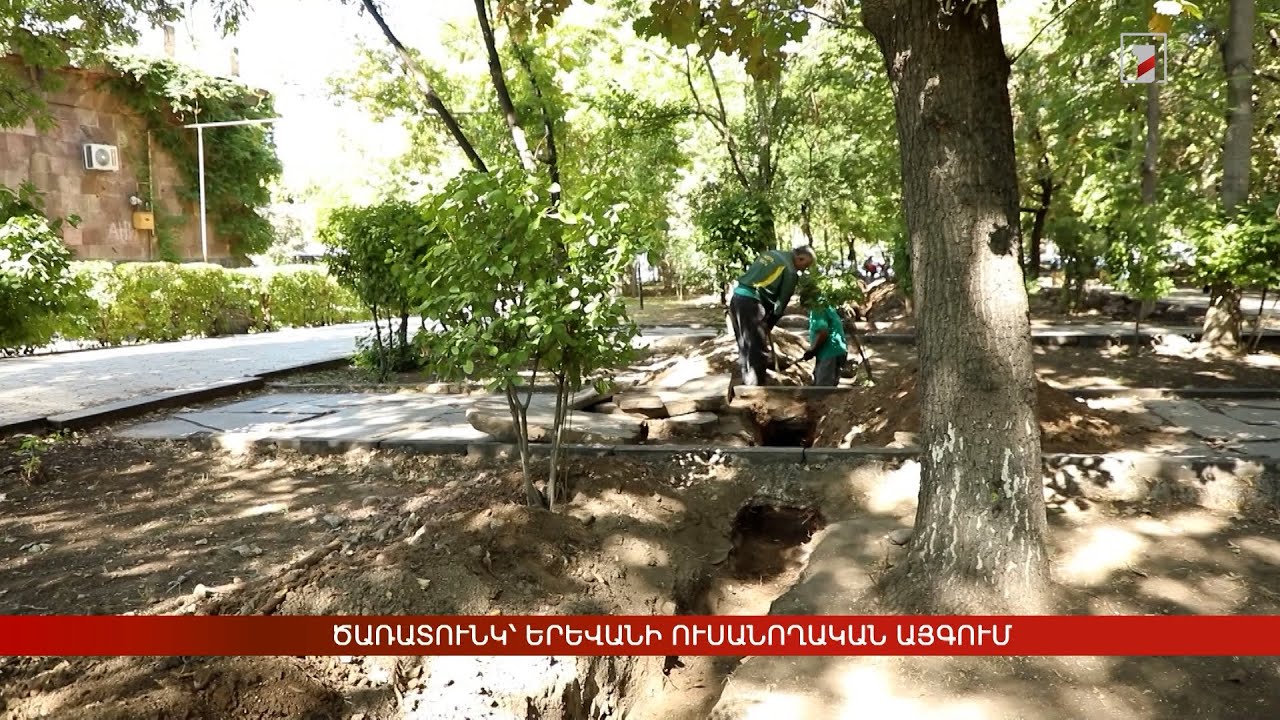 Ծառատունկ՝ Երևանի Ուսանողական այգում