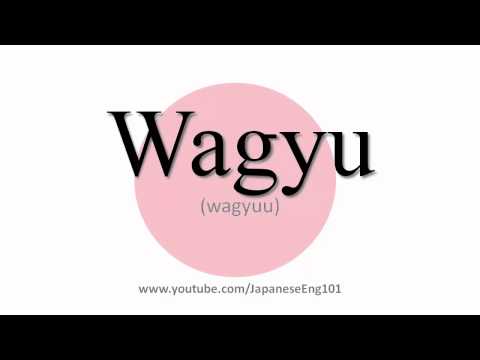 YouTube video about: How do you pronounce wagyu beef?