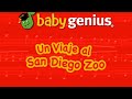 Baby Genius Un Viaje Al San Diego Zoo 2006 Mexican Spanish DVD