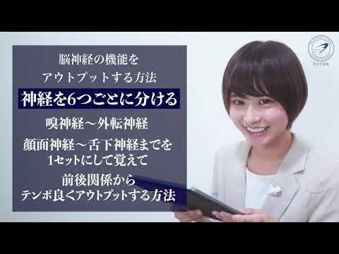 医学科 医学生が最初につまづく脳神経の極論について