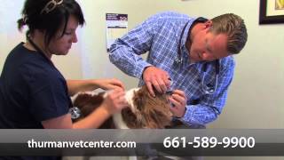 preview picture of video 'Thurman Veterinary Center - Short | Bakersfield, CA'