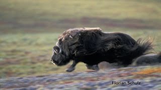 How to Make Your Photos POP with Angles