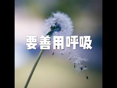 楊家寧律師