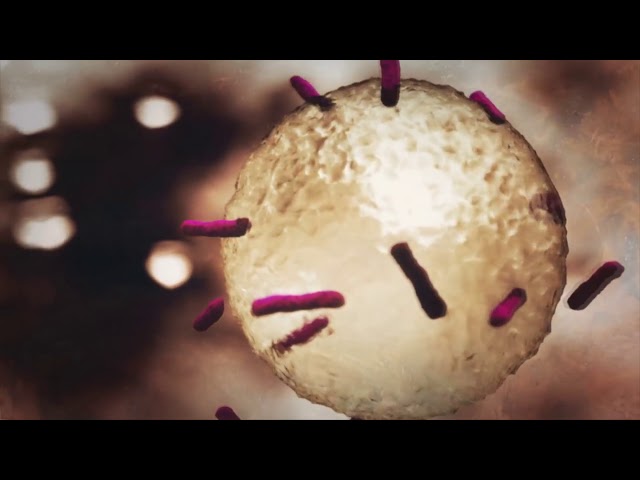 Video - 25 Cadre of Death (PC)