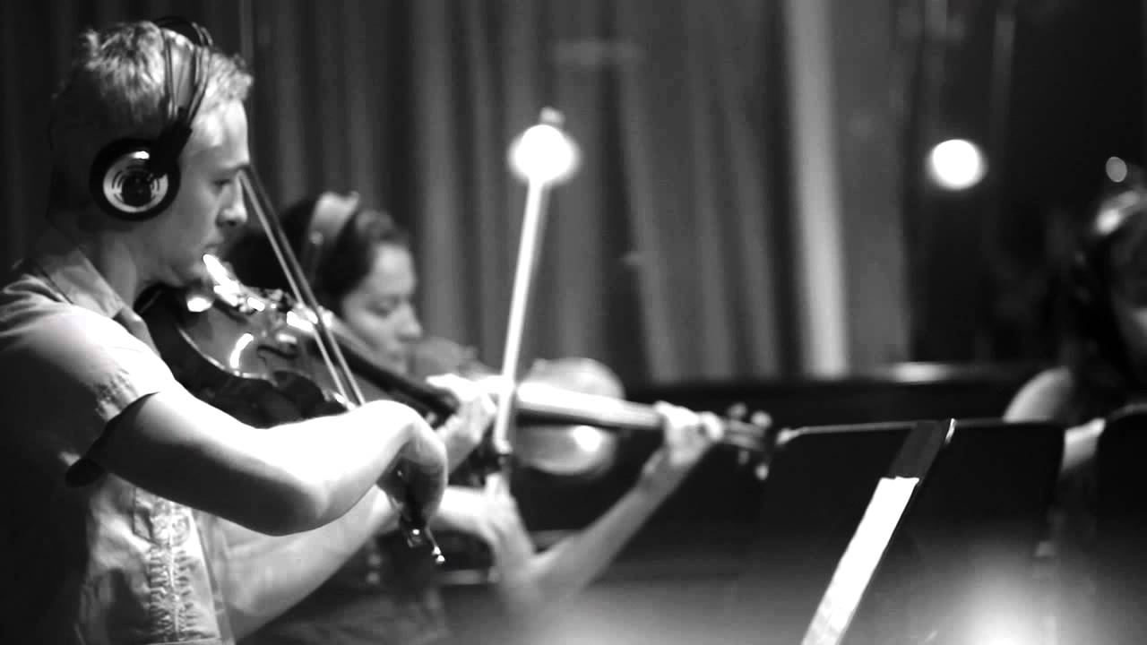 Video Flightless Bird American Mouth Wedding Version