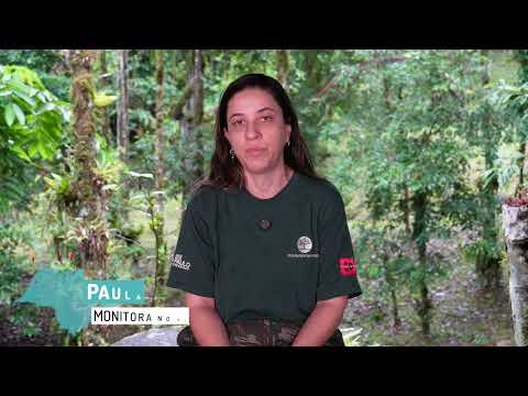 Conheça o Município de Sete Barras