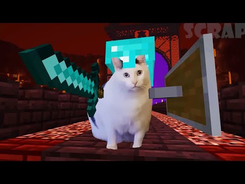 Meme Cats and Dogs in Minecraft! - Part 1