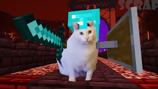 Meme Cats and Dogs in Minecraft! - Part 1