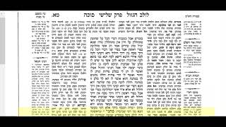 סוכה דף מא