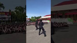 Download lagu Polwan Brimob Sulsel Jago Bela diri (peragaan didepan siswa bintara 47 spn batua makassar) mp3 Download lagu Polwan Brimob Sulsel Jago Bela diri (peragaan didepan siswa bintara 47 spn batua makassar) mp3