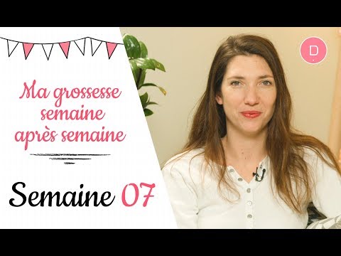 7th week of pregnancy – Monthly appointment with the gynecologist