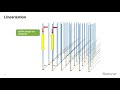 Learn About Illumina S Next Generation Sequencing Workflow