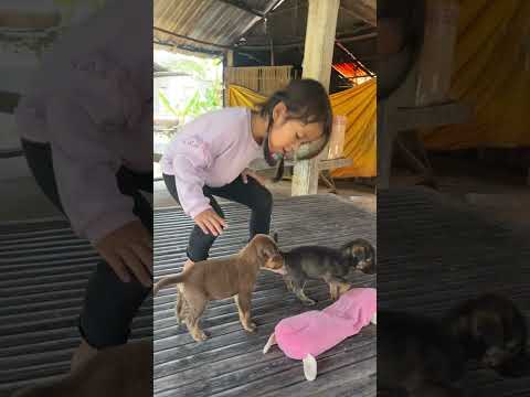 NYTA Playing With a Baby Dog 2