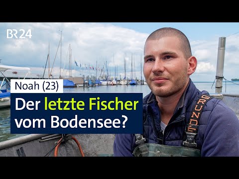 Bald letzter Fischer? Was Klimawandel und Kormorane am Bodensee anrichten | BR24 Vor Ort