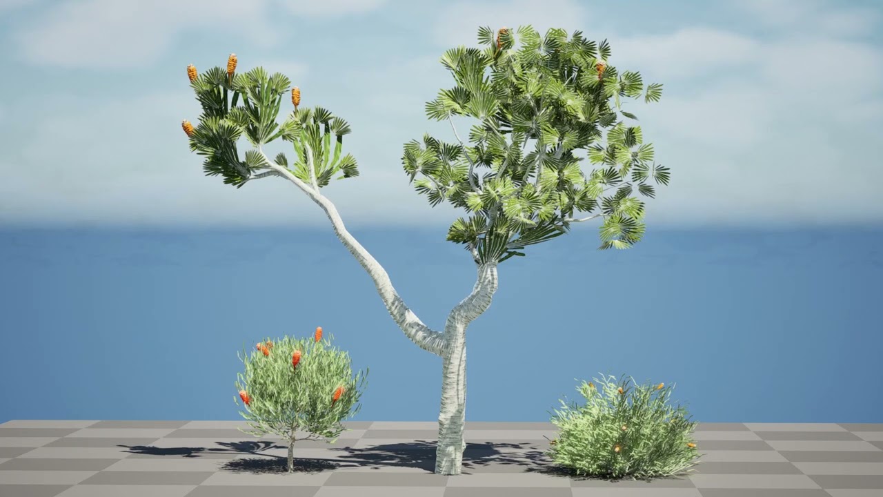 Australia Banksia with free 3d shrub Tutorial 3D Model