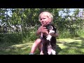 Bij dit dagverblijf kunnen kinderen knuffelen met puppy s