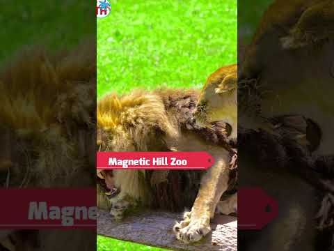 Top 10 Best Places to Visit in New Brunswick