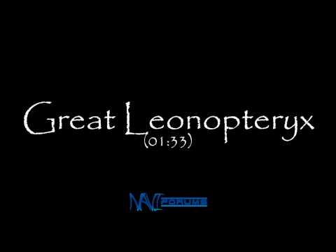 17. Great Leonopteryx - AVATAR Extended Soundtrack