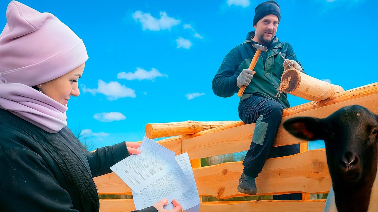 Подарки к новому году. Анализ для воды в пруд. Дровяник и конкурс.Овца ушла ро