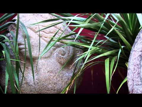 Gran Canaria - Agaete - part 3/3 - Canary Islands - Kanarische Inseln - Islas Canarias