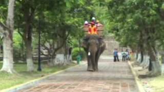 preview picture of video 'Elephant Ride in the Purple City in Hue, Vietnam'