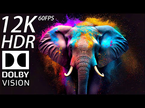 Incredible 12K HDR 60fps Dolby Vision