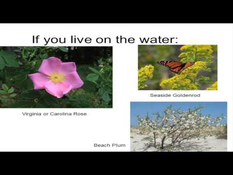 Pollinator Talk 2015