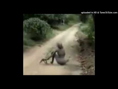 TYPE BEAT - WARYKID X DEKMA X DESXLATE X TAKIZAVA - HORRIFIC