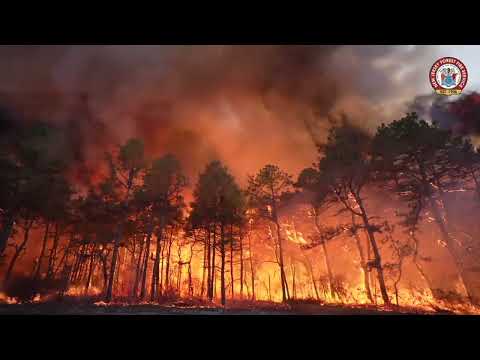 Wildfire Risk & Weather