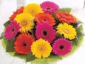 Flowers For All Occasions Of Gedling