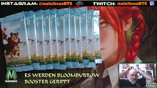 Heute werden Bloomburrow Booster gerippt - Unboxing [MtG, deutsch]