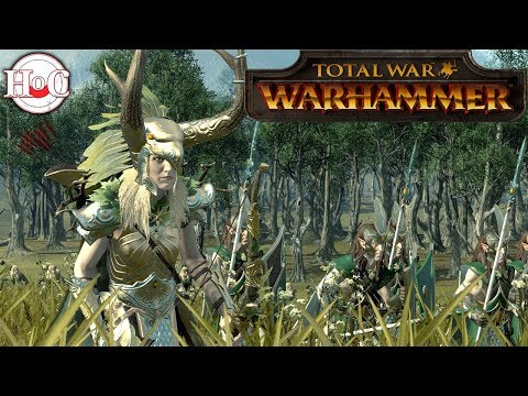 Bretonnia vs Wood Elves  - Total War Warhammer Online Battle 311