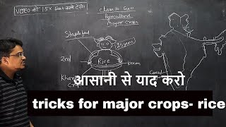 class 10 geography agriculture || tricks for major crops rice
