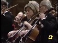 Saint-Saëns : Symphony No. 3 in C minor, Op. 78 - II. Poco adagio