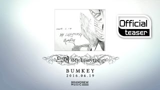[Teaser] BUMKEY(범키) _ My Everything(느껴)