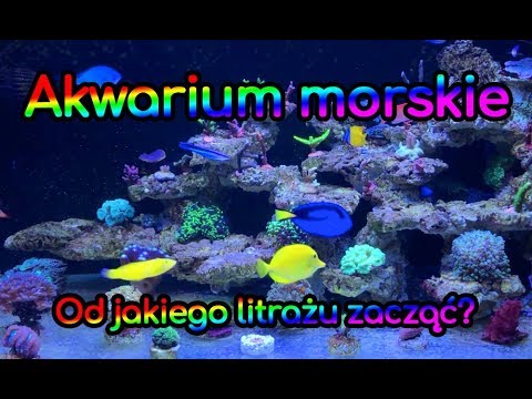(123) Od jakiego litrażu zacząć - Akwarium morskie - Reef aquarium