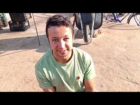 Em Hidrolândia de Uibaí-Bahia, família sobrevive debulhando feijão na feira livre.