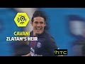 Cavani, Zlatan's heir - PSG 2016-17 - Ligue 1 Cavani, Zlatan's heir - PSG 2016-17 - Ligue 1