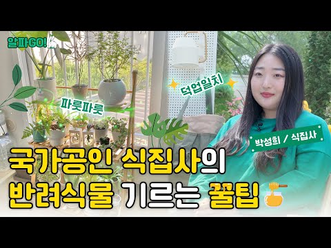 올해도... 죽이실 건가요? #반려식물 [알파GO EP2]