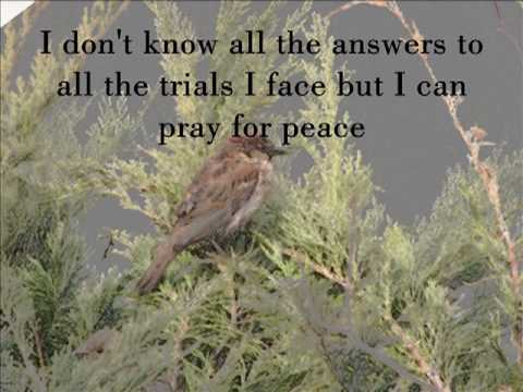 Thumbnail for Peace video